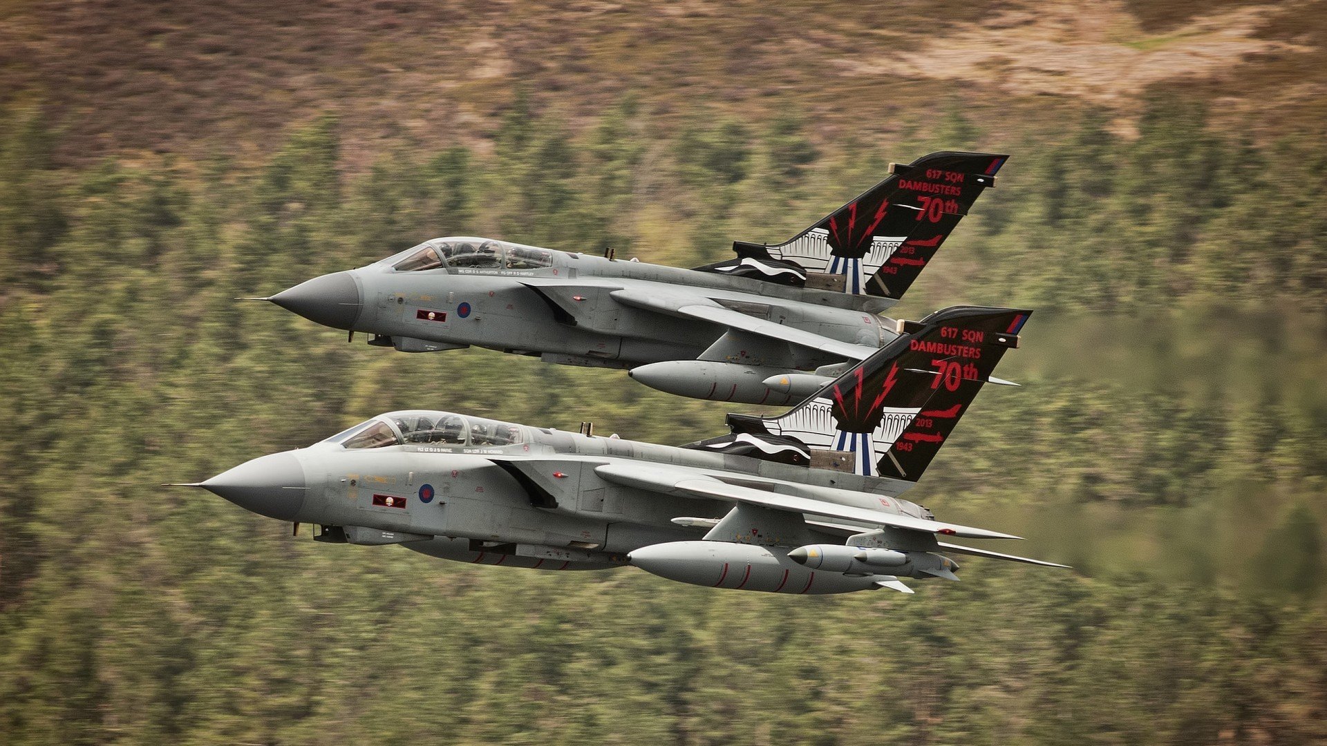 “美洲狮队在橄榄球冠军锦标赛展现强大韧性”