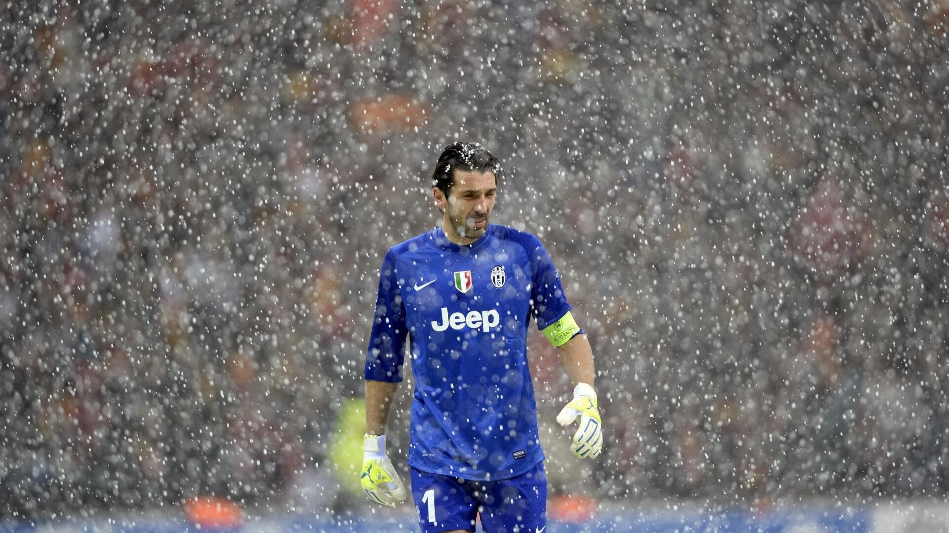 “美洲狮队在橄榄球冠军锦标赛展现强大韧性”