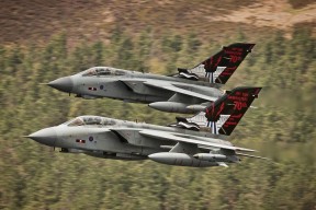 开云平台-“美洲狮队在橄榄球冠军锦标赛展现强大韧性”