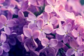 开云 官网 入口-东亚杯U23国足战平 战术细节成关键因素，亚洲杯u23中国队