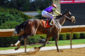 开云体育中国官方网站-仰泳三国对话 史密斯与麦基翁谁更快？，史麦斯和史密斯是一个集团吗