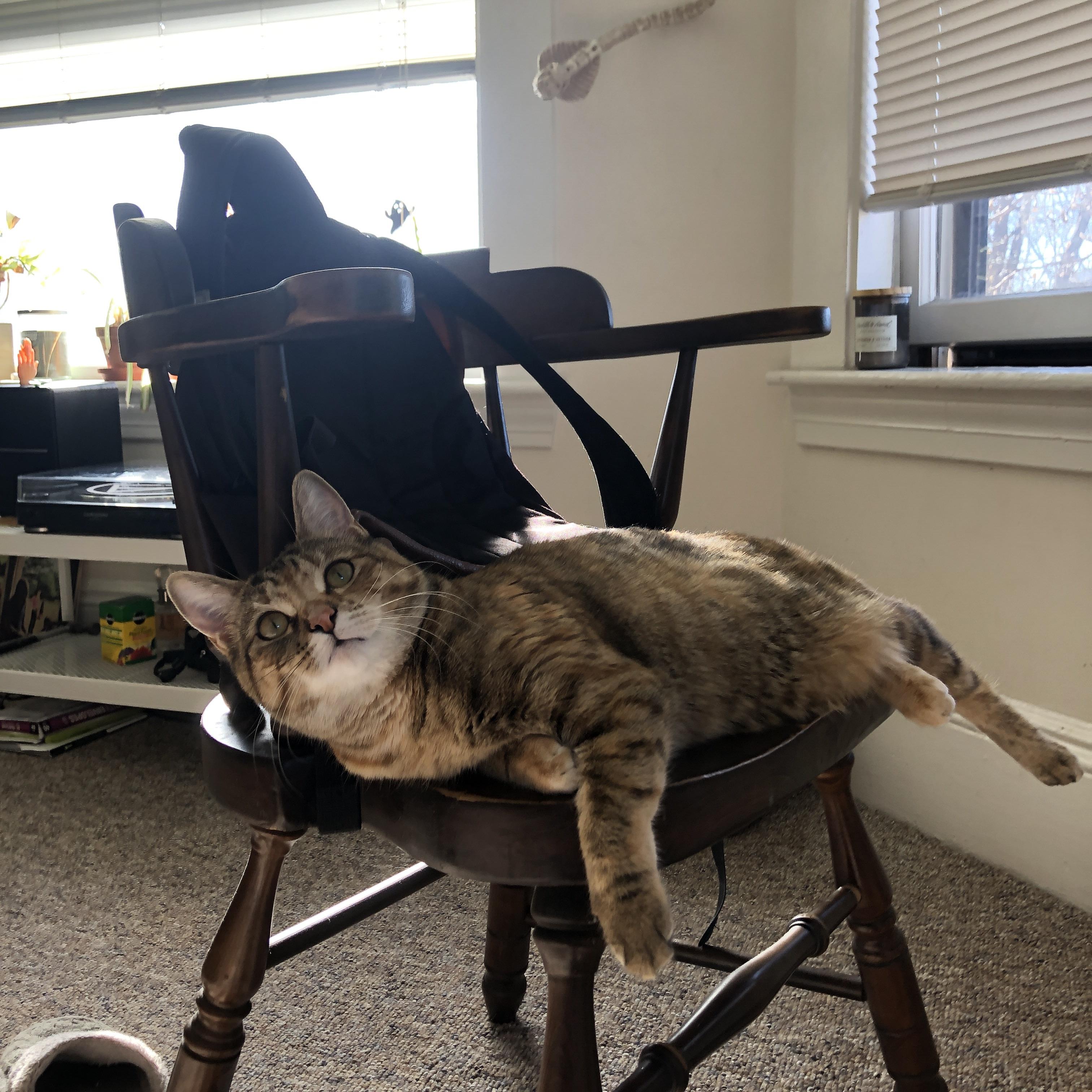 NBA今日战报勇士三连胜强势登顶西部，nba勇士今天比赛直播视频