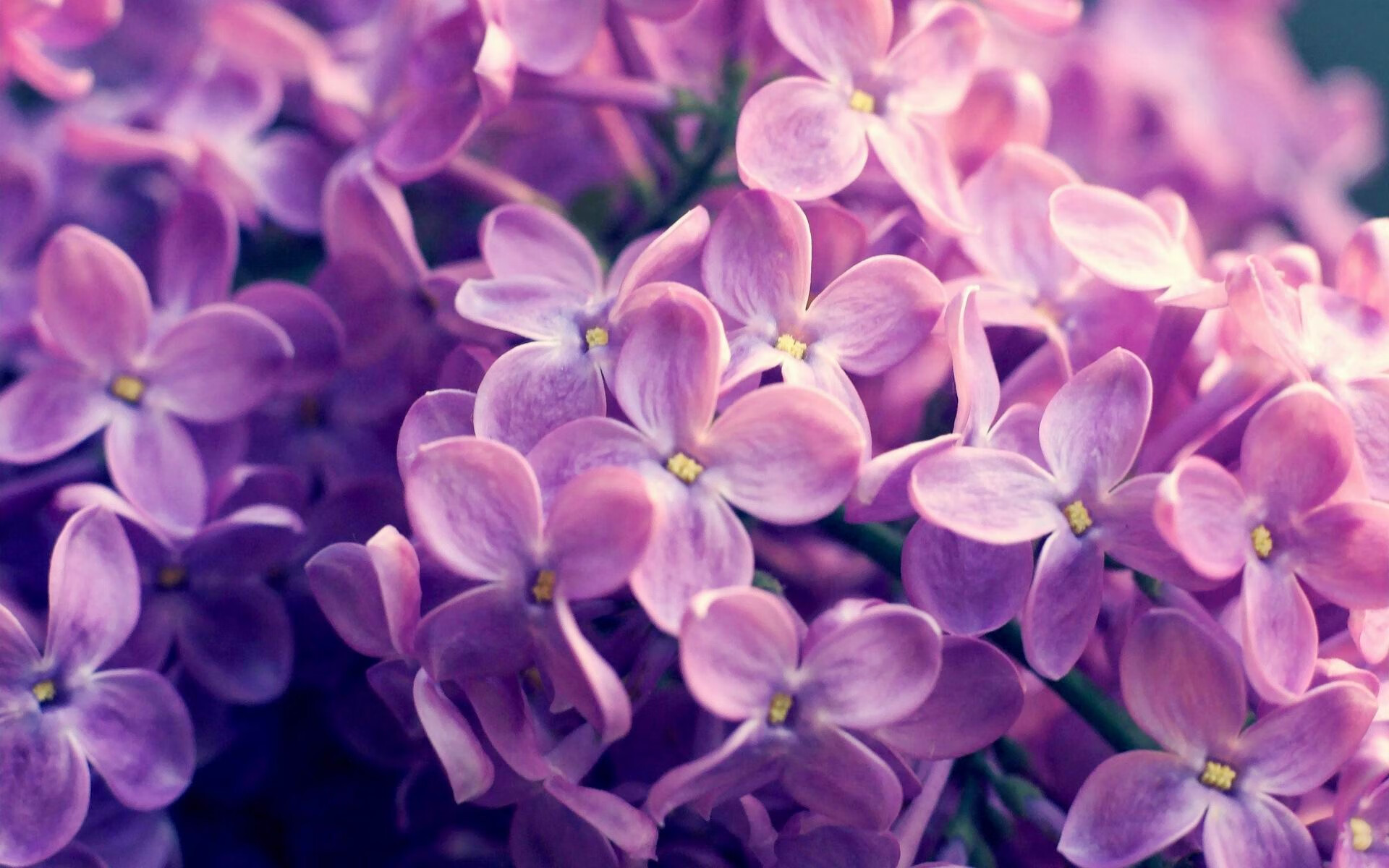 东亚杯U23国足战平 战术细节成关键因素，亚洲杯u23中国队