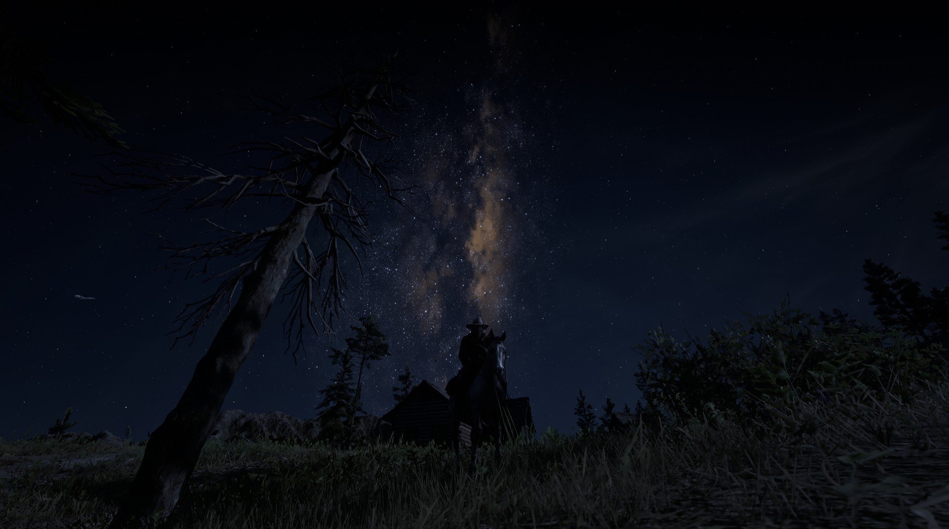 加拿大队的未来：如何借助数据分析与科技推动战术革新，加拿大队队员