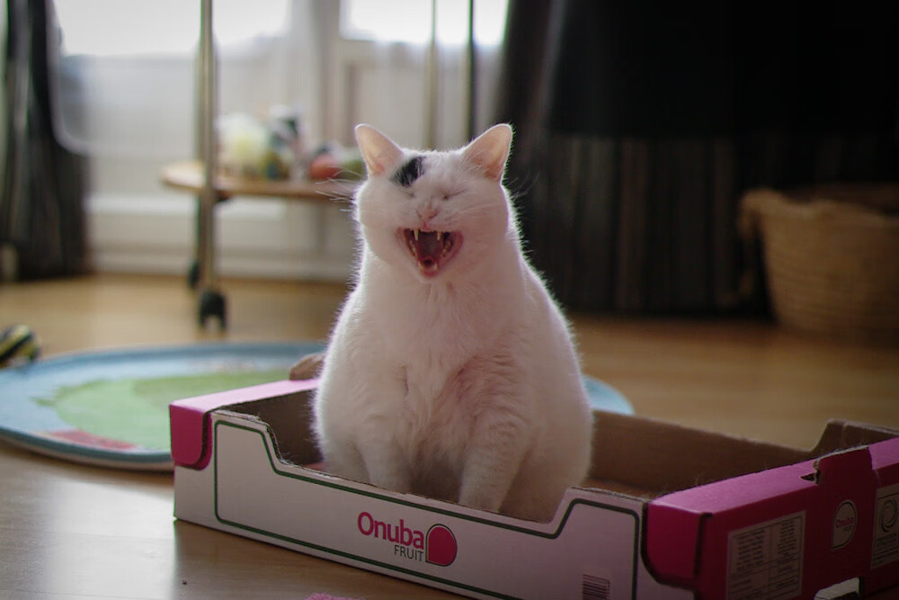 巴黎调整锋线组合增添多样进攻威胁，巴黎阵型图